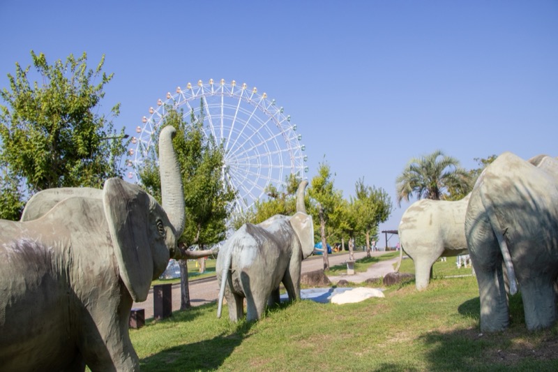 モリコロパーク